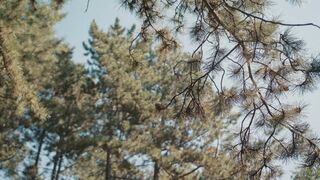 V2 ASMR massage back outdoor nature central park sounds Olga.mp4